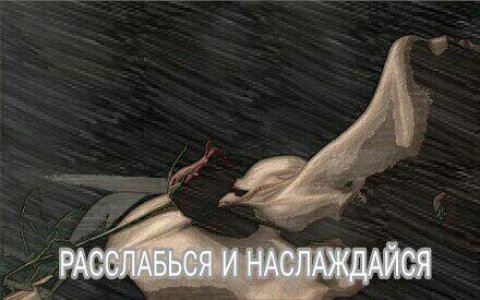 SexyWit