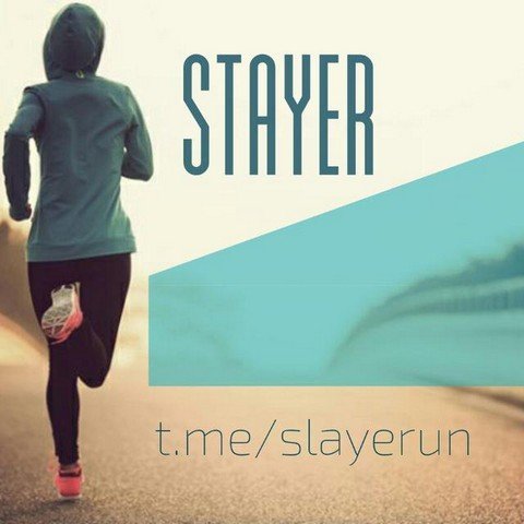 Stayer - Дневник бегуна