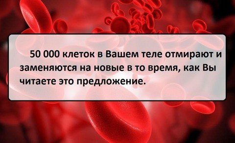 Интересные факты из медицины и ее истории