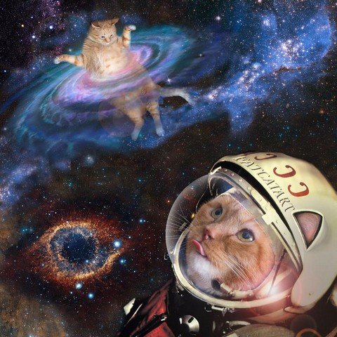 Music SpaceCAT