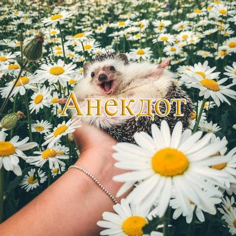Анекдот