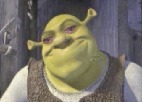 CrazyShrek