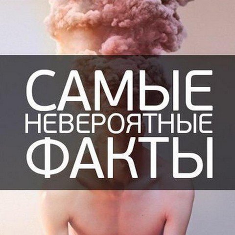 Интересные факты | Развитие интеллекта