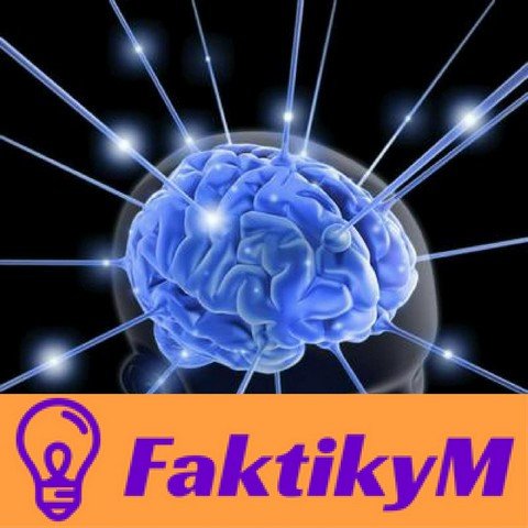 Фактикум
