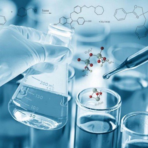 Research Highlights