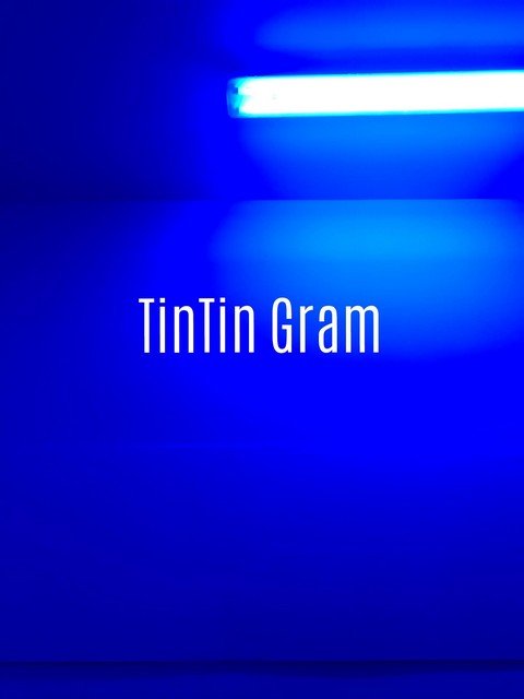TinTin Gram