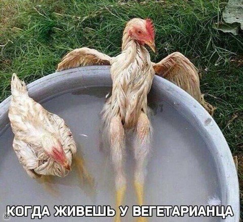 Туси сам 18+