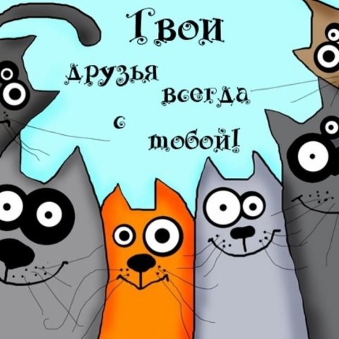 Можно всё!