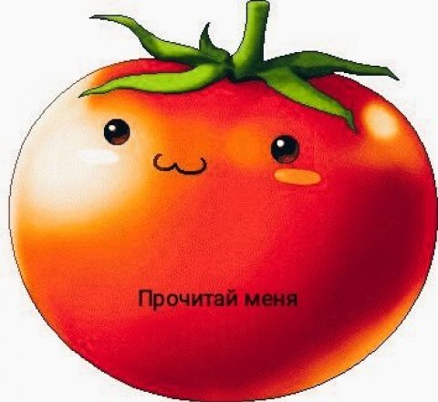 Литературная помидорка
