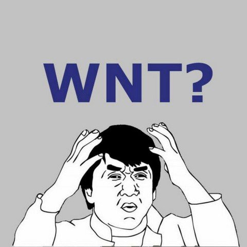 What`sNewTech