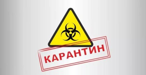 Новости России