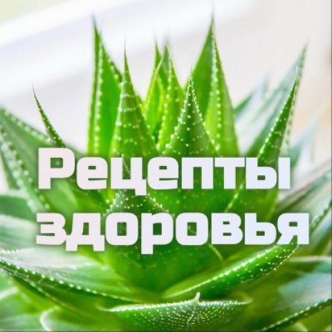 ЗДОРОВЬЕ ТЕЛА и ДУШИ🧘‍♀️