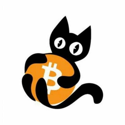 Meow AirDrop 
