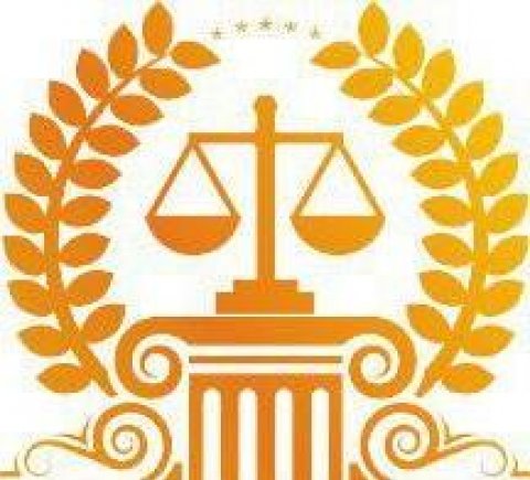 Адвокатура України та юридична практика