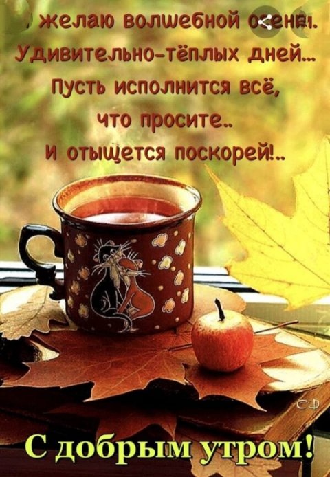 Ну,погоди