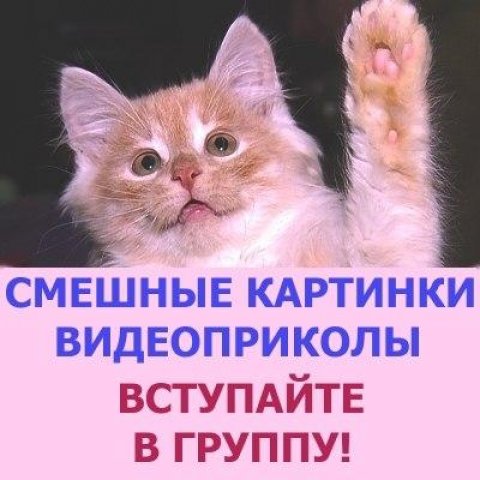 Позитив