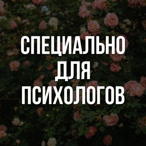 Душнила продвигает психологов: контент и продажи