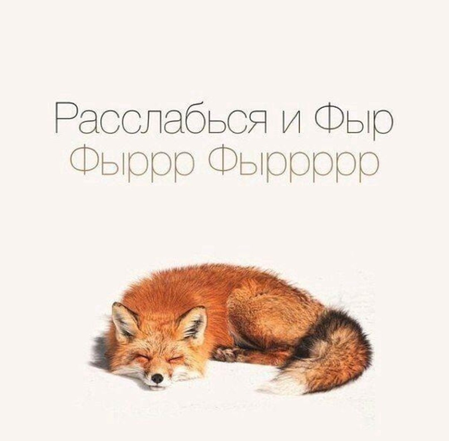 Спокойной ночи лисичка картинки