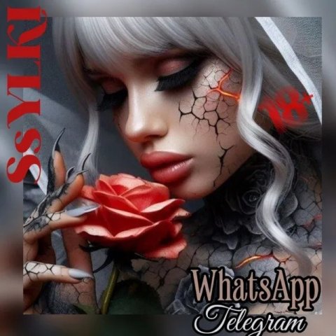 Ссылочная WhatsApp TELEGRAMM